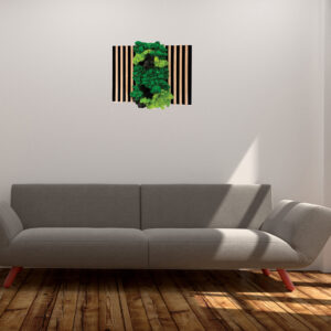 Obiecte decorative- tablouri cu licheni stabilizati